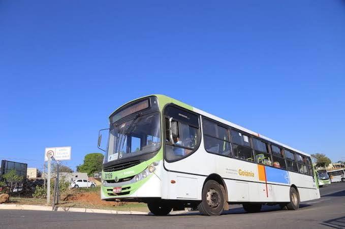 Ônibus usados estacionados, prontos para integrar a frota do transporte coletivo de Goiânia.