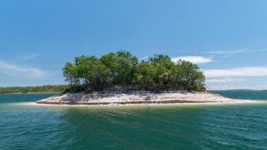 Imagem aérea da Ilha do Amor em Goiás, mostrando águas cristalinas e vegetação ao redor.