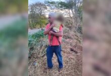 Veículos envolvidos em acidente na rodovia GO-210.