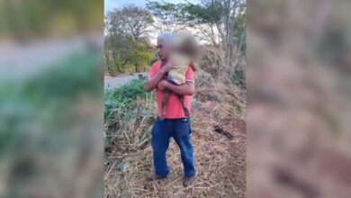 Veículos envolvidos em acidente na rodovia GO-210.