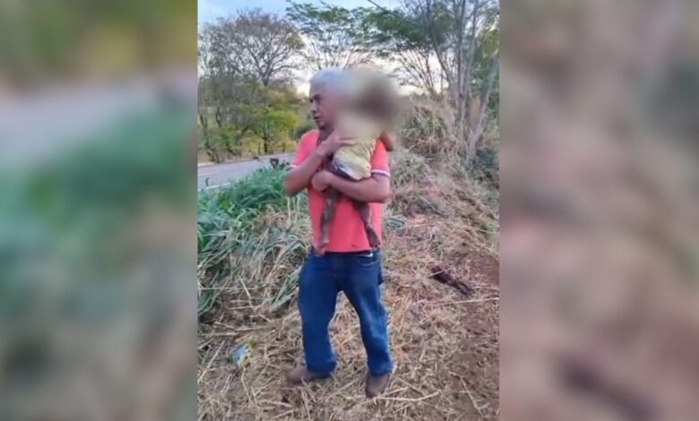 Veículos envolvidos em acidente na rodovia GO-210.