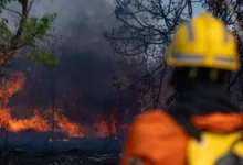 Vegetação seca com foco de incêndio ao fundo em área de Cerrado.
