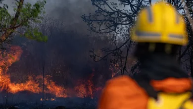 Vegetação seca com foco de incêndio ao fundo em área de Cerrado.