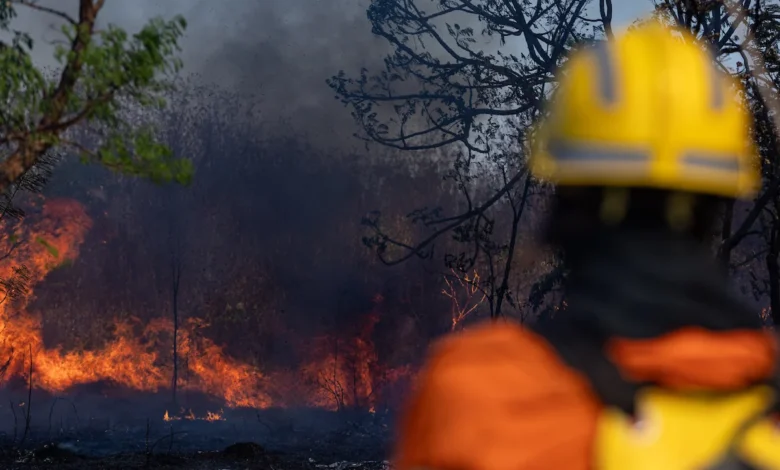 Vegetação seca com foco de incêndio ao fundo em área de Cerrado.