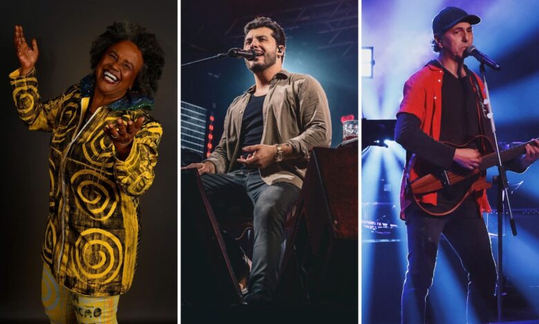 Artistas Sandra de Sá, Murilo Huff e Zeca Baleiro em apresentações durante o Festival Viva Goiânia.