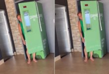Cantor Leonardo dentro de um freezer de cerveja.