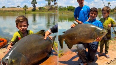 Menino de 4 anos com tambacu de 25 kg em Goiás.