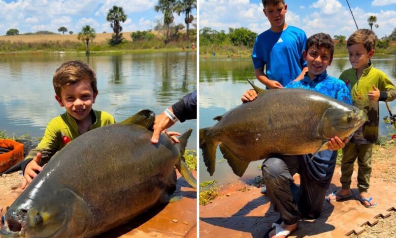 Menino de 4 anos com tambacu de 25 kg em Goiás.