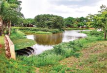 Vista do Parque Carmo Bernardes em Goiânia, local de futuras melhorias.