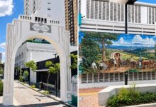 Vista da Viela 36 em Goiânia com arte e árvores.