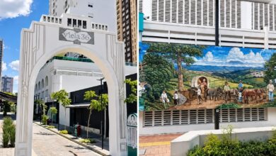 Vista da Viela 36 em Goiânia com arte e árvores.