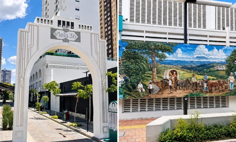 Vista da Viela 36 em Goiânia com arte e árvores.