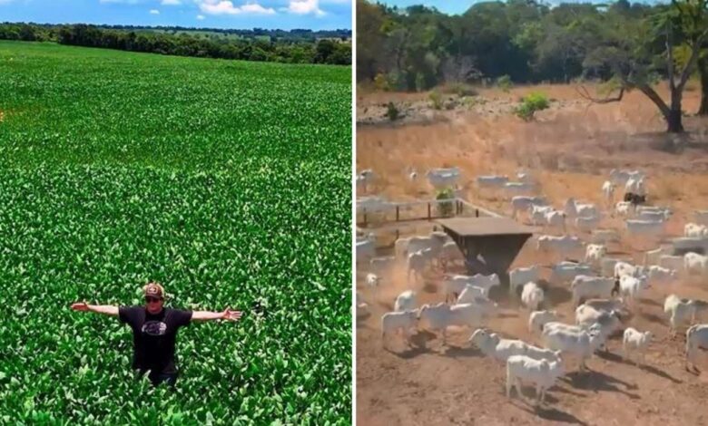 Chitãozinho em sua fazenda no interior de Goiás.