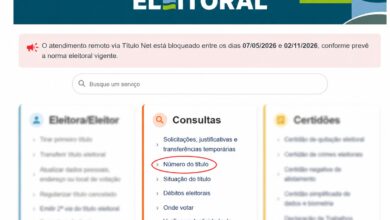 Página de consulta do TSE mostrando opções para acessar dados eleitorais.