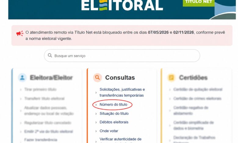 Página de consulta do TSE mostrando opções para acessar dados eleitorais.