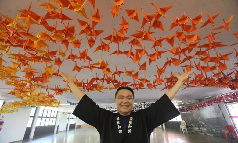 Imagem aérea de Goiânia mostrando a diversidade e urbanização da cidade.