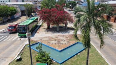 Funcionários da Comurg realizando plantio de flores no centro de Goiânia.