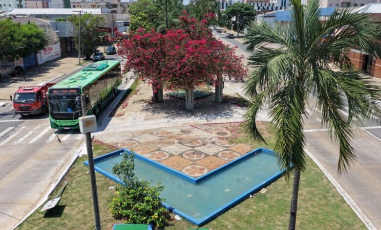 Funcionários da Comurg realizando plantio de flores no centro de Goiânia.