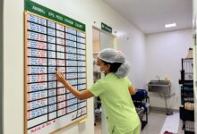 Cães e gatos recebendo atendimento de castração em Senador Canedo.