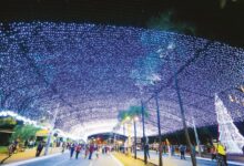 Luzes de Natal em Goiânia decorando uma praça da cidade.