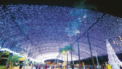 Luzes de Natal em Goiânia decorando uma praça da cidade.