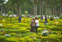 Flores coloridas sobre túmulos em cemitério de Goiânia.