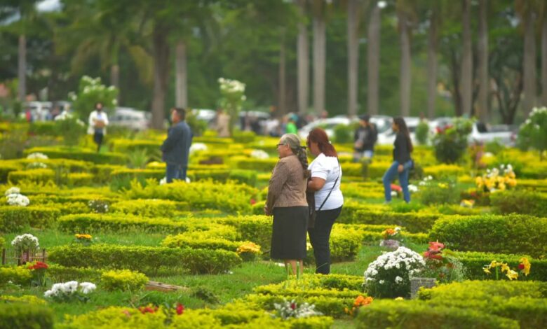 Flores coloridas sobre túmulos em cemitério de Goiânia.